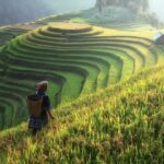 Sapa Trekking 3 Days 2 Nights by Bus - Homestay & Hotel - Considerations and Potential Drawbacks