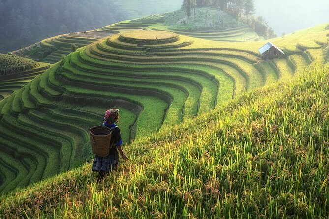 Sapa Trekking 3 Days 2 Nights by Bus - Homestay & Hotel - Considerations and Potential Drawbacks