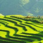 Sapa Trekking Group Tour by Bus from Hanoi with 2 Nights Hotel stay - Authentic Experiences and Local Interactions