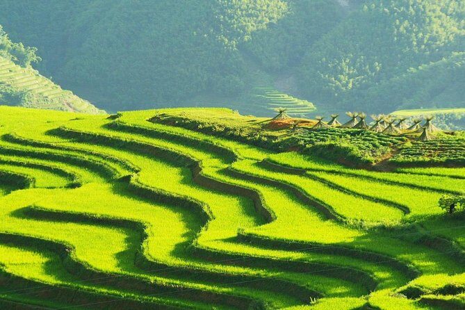 Sapa Trekking Group Tour by Bus from Hanoi with 2 Nights Hotel stay - Authentic Experiences and Local Interactions