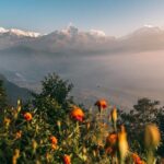 Sarangkot Sunrise Private Guided Tour with Pick Up from Pokhara - Insights from Past Travelers