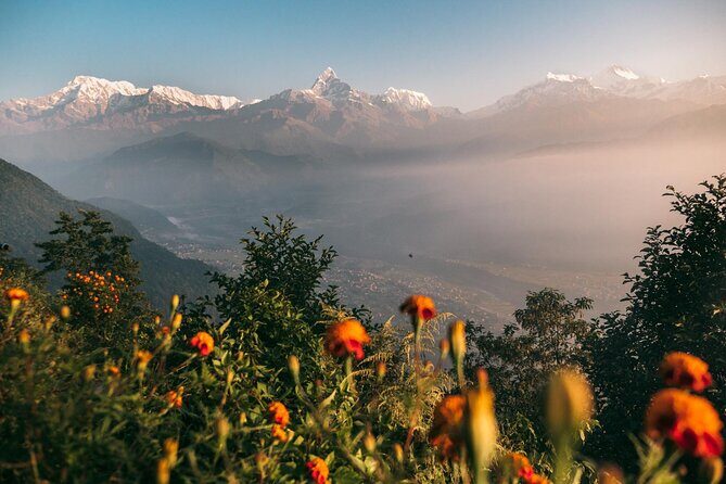 Sarangkot Sunrise Private Guided Tour with Pick Up from Pokhara - Insights from Past Travelers
