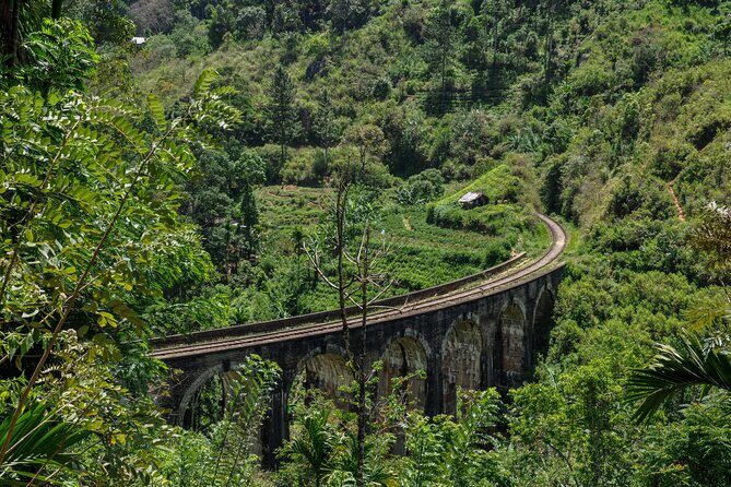 Scenic Ella Village from Hambantota - Pricing and Value