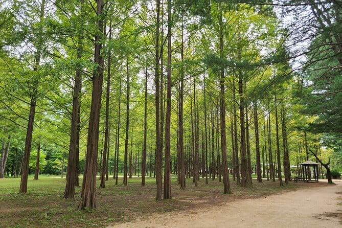 Scenic Escape: Nami Island, Garden of Morning Calm, and Rail Bike - Practical Details & Considerations