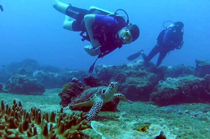 Scuba Diving from Kalpitiya - The Experience: What You Can Expect