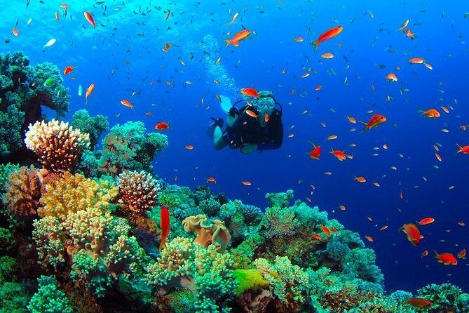 Scuba Diving from Negombo - The Experience from the Reviewers’ Perspective