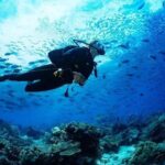 Scuba Diving in Boracay - Who Should Book This Tour?