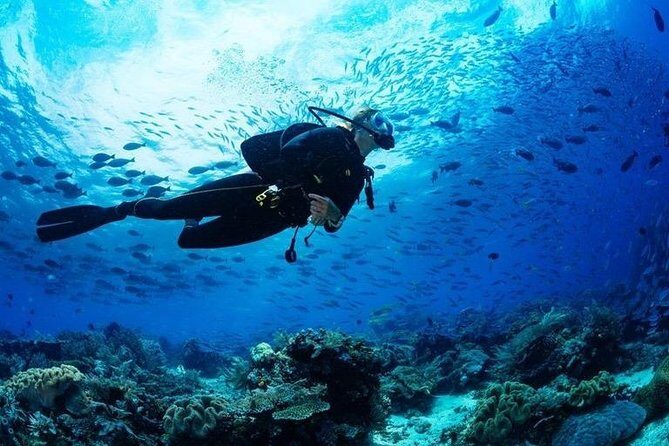 Scuba Diving in Boracay - Who Should Book This Tour?