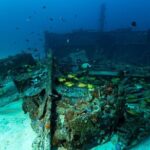 Scuba Diving in Colombo - What Makes Scuba Diving in Colombo Special?