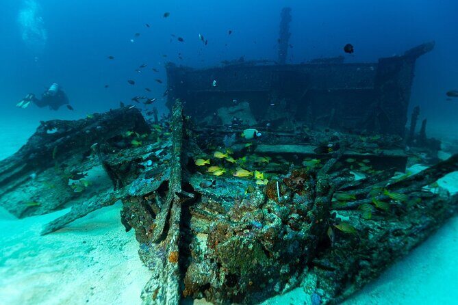 Scuba Diving in Colombo - What Makes Scuba Diving in Colombo Special?