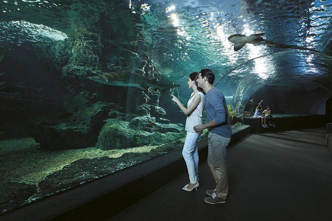 SEA LIFE Bangkok Ocean World and Madam Taussauds Entry Ticket - Madame Tussauds Bangkok: Celebrity Encounters and Fun Photos