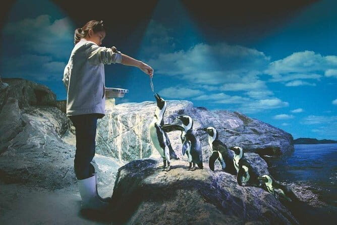 SEA LIFE Ocean World in Bangkok Admission Ticket - A Closer Look at the Experience