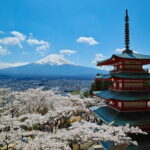 Season Special: Private Mt. Fuji Shibazakura Spring Tour - Who Should Consider This Tour?