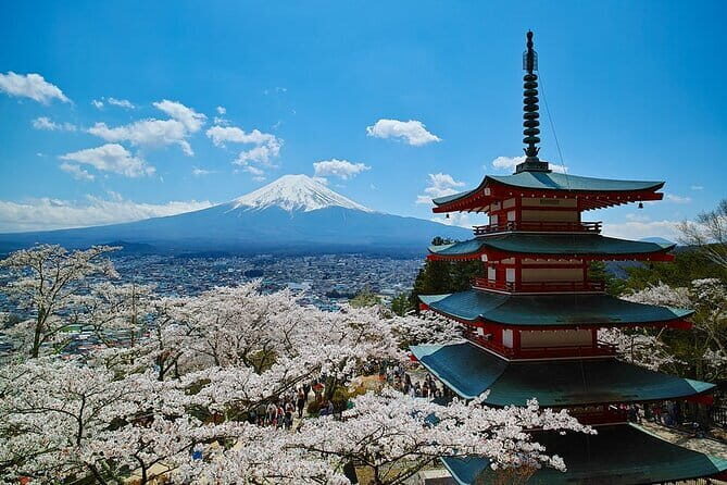 Season Special: Private Mt. Fuji Shibazakura Spring Tour - Who Should Consider This Tour?