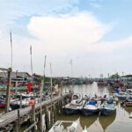 Sekinchan Paddy Field, Fishing Village & Redang Beach Tour from Kuala Lumpur - Stop 1: Exploring Sekinchans Rice Fields