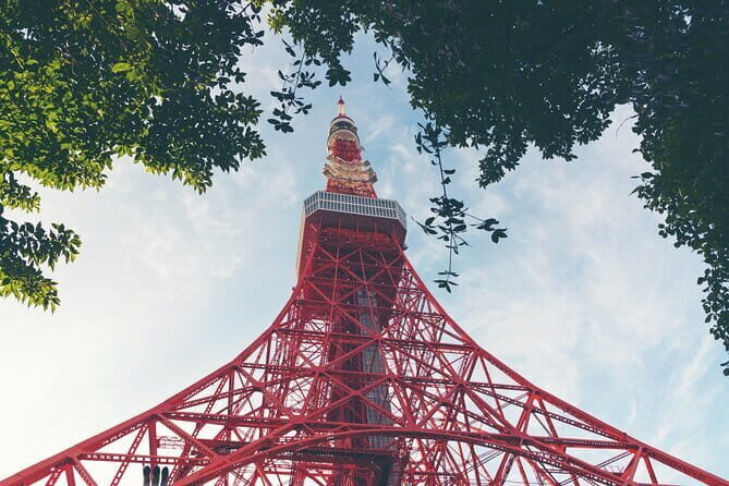 Self-Guided Tour of Tokyo's Hidden Alleys - Practical Details and Traveler Insights