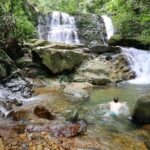 Semenggok Wildlife Centre - Who Should Consider This Tour?