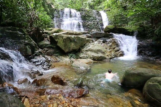 Semenggok Wildlife Centre - Who Should Consider This Tour?