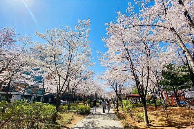 Seoul Cherry Blossom Walking Tour to Gyeongui Line Park - FAQ