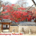 Seoul City & Mt. Seoraksan 4 nights - What We Loved About This Tour