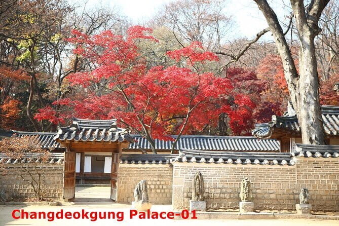 Seoul City & Mt. Seoraksan 4 nights - What We Loved About This Tour