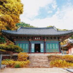 Seoul : Ganghwa DMZ + Traditional Market One Day Tour - Transportation, Group Size, and Overall Value