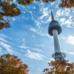 Seoul: N Tower Observatory Ticket - Authentic Experiences & Review Highlights