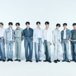 Seoul Spring Festa K-pop Festival Day Tour - Final Thoughts: Who Is This Tour For?