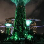 SG Evening/Nite -River Cruise, Marina Bay Light Show, Chinatown - Authentic Experiences and Hidden Insights