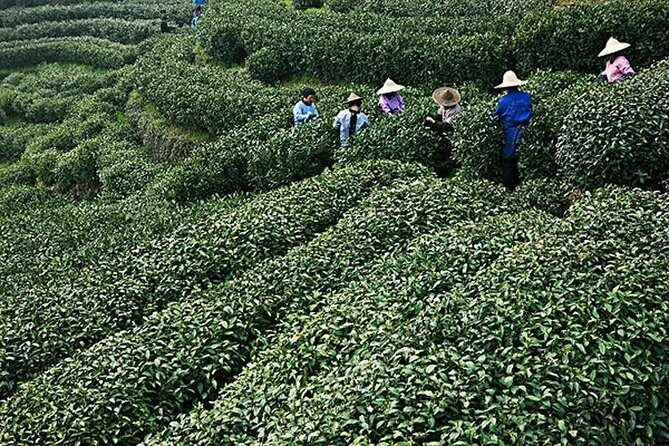 Shanghai Day Tour to Hangzhou - West Lake (Xi Hu): The Heart of Hangzhou’s Charm
