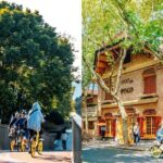 Shanghai French Concession Bike Tour with Food Tasting - Why This Tour Offers Great Value