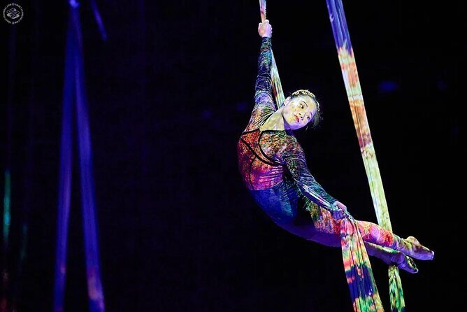 Shanghai Must-See Acrobatics Show with Private Transfer - Who Is This Tour Best For?