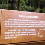 Shanghai to Hangzhou Tofu Ancient Road Hiking Tour by Train - First Stop: Xishan National Forest Park