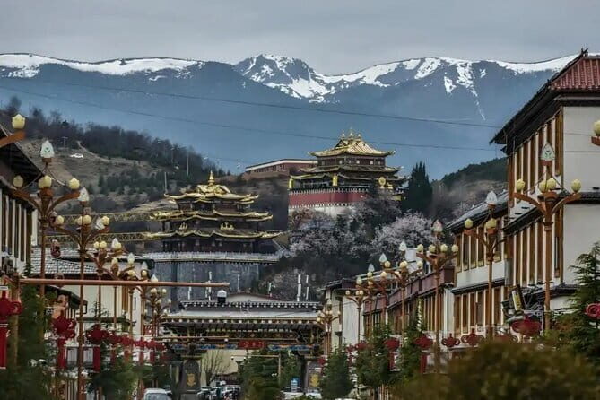 Shangri-La Private Day Tour - Practical Details & Value