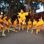 Shaolin Temple Overnight Stay Experience with Martial Art Activities from Xi'an - Who Will Love This Tour?