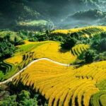 Shared 2 days and 1 night Sapa Trekking Adventure - What to Expect on the Trek
