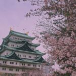 Shared Arrival Transfer : Chubu Nagoya Airport to Nagoya City - Who Will Love This Service?
