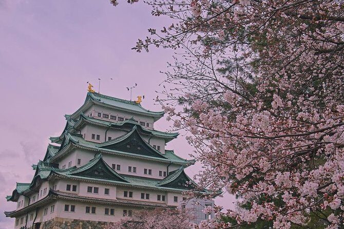 Shared Arrival Transfer : Chubu Nagoya Airport to Nagoya City - Who Will Love This Service?