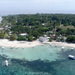 Shared Bohol Dolphin Watching and Pamilacan Island Tour - Exploring Pamilacan Island: Beaches and Marine Life