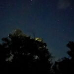 Shared Bohol Loboc River Firefly Watching Tour - The Sum Up: Who’s It For?