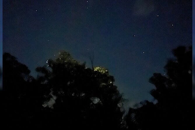 Shared Bohol Loboc River Firefly Watching Tour - The Sum Up: Who’s It For?