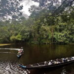 Shared Full Day Taman Negara Trekking Tour - Final Thoughts: Is It Worth It?