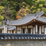 Shared Pyeongchang Tour with Samyang - Practical Details and What to Expect