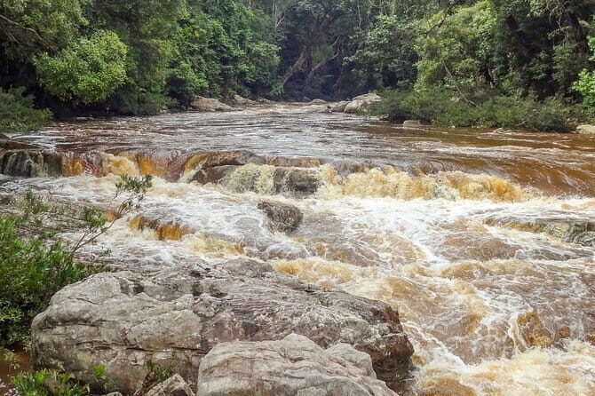 Shared Taman Negara Nature Tour with Lata Berkoh Falls - The Adventure Begins: From Kuala Lumpur to Taman Negara