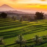 Shared Tour: Jatiluwih Rice Terraces - Ulun Danu Temple - Banyumala Waterfalls - Who Would Love This?