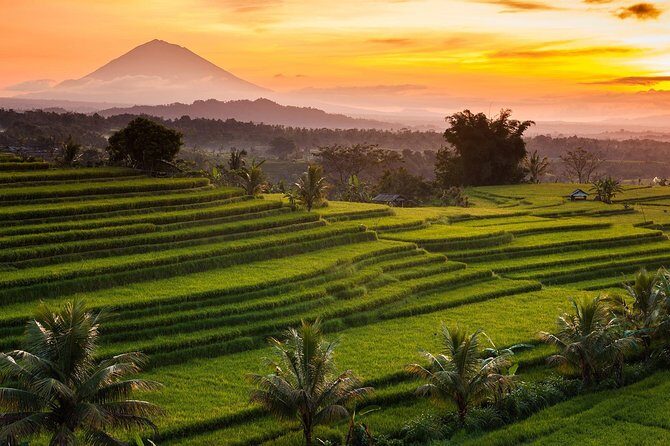Shared Tour: Jatiluwih Rice Terraces - Ulun Danu Temple - Banyumala Waterfalls - Who Would Love This?