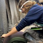 Sharpening your Knife at A Sharpener's Factory in Osaka - Practical Considerations