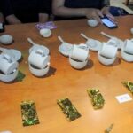 Shiding Tea Township: Half-Day chartered Tour from Taipei - Practical Details and Overall Value