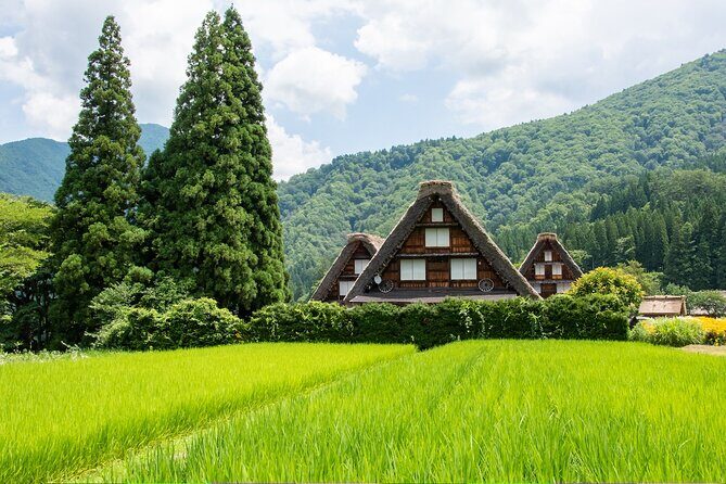 Shirakawago & Gokayama Ainokura Tour - World Heritage Villages - The Sum Up