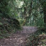 Shivapuri Day Hiking - Who Will Love This Tour?